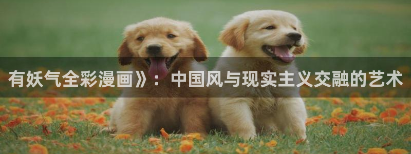 51漫画bl网站无删减漫画