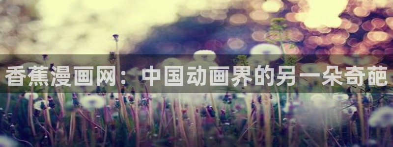 51漫画18禁在线：香蕉漫画网：中国动画界的另一朵奇葩