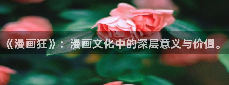 51漫画免费资源大全