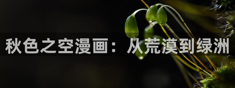 漫画51漫画漫画