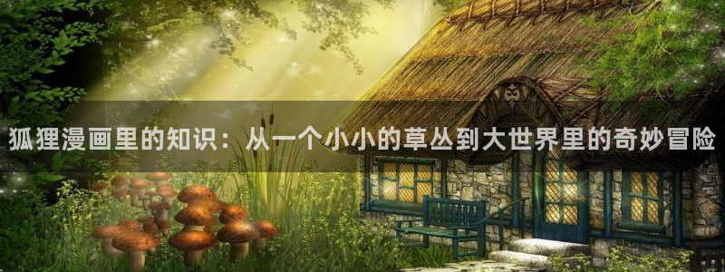 无删减无修51漫画在线观看