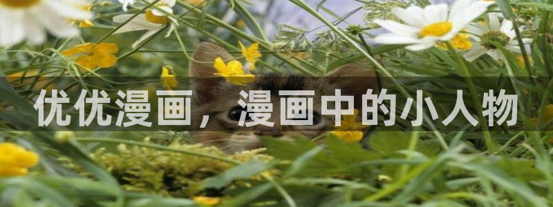 51漫画双男主的动漫推荐