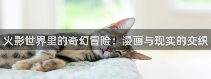 51漫画漫画在线阅读免费